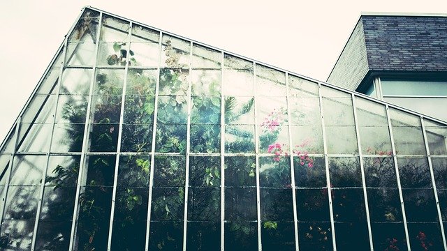skleník v soukromém zahradnictví